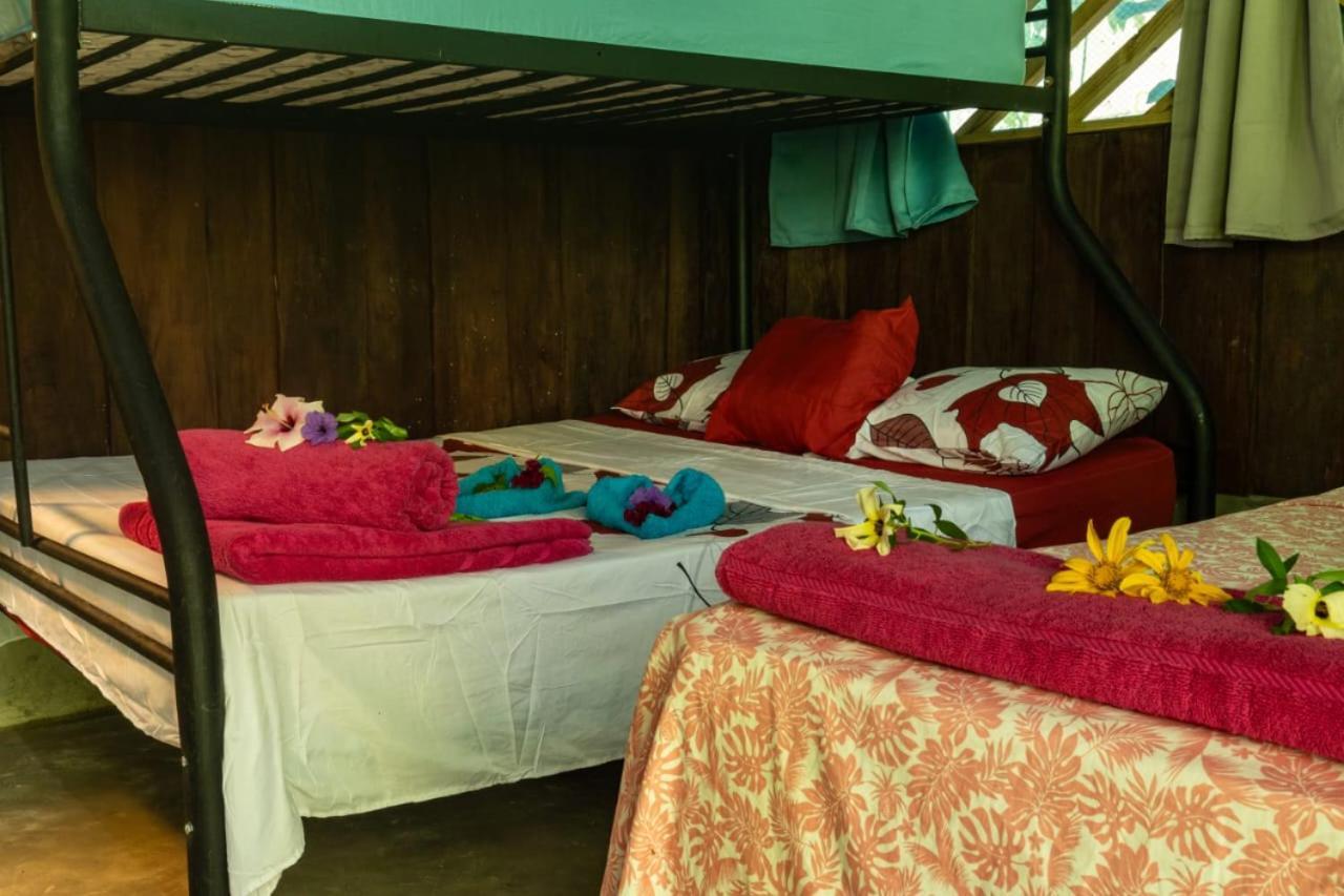 Drakes Bay Los Paniquines Ecolodge מראה חיצוני תמונה